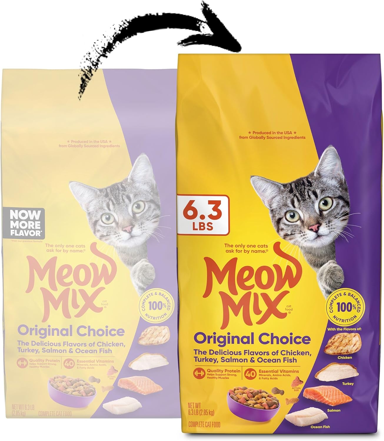 Meow Mix Original Choice Dry Cat Food – 6.3 lb - Image 2